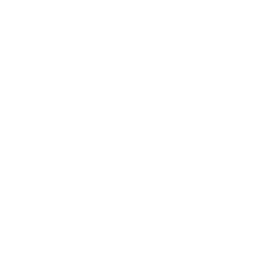 pioneer craftsmen